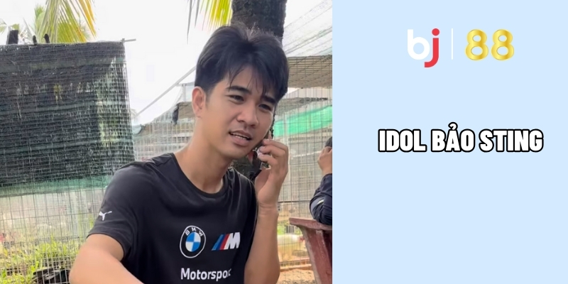 Idol Báo Sting - Chiến Thần Trường Gà Với Những Kèo Đỉnh Cao 2 Báo Sting liên tục thắng lớn khẳng định vị thế thần kê
