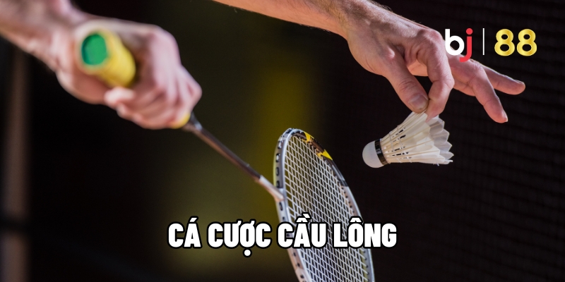 Luật Cá Cược Cầu Lông Và Cách Áp Dụng Trong Trận Đấu Tại BJ88 3 cá cược cầu lông